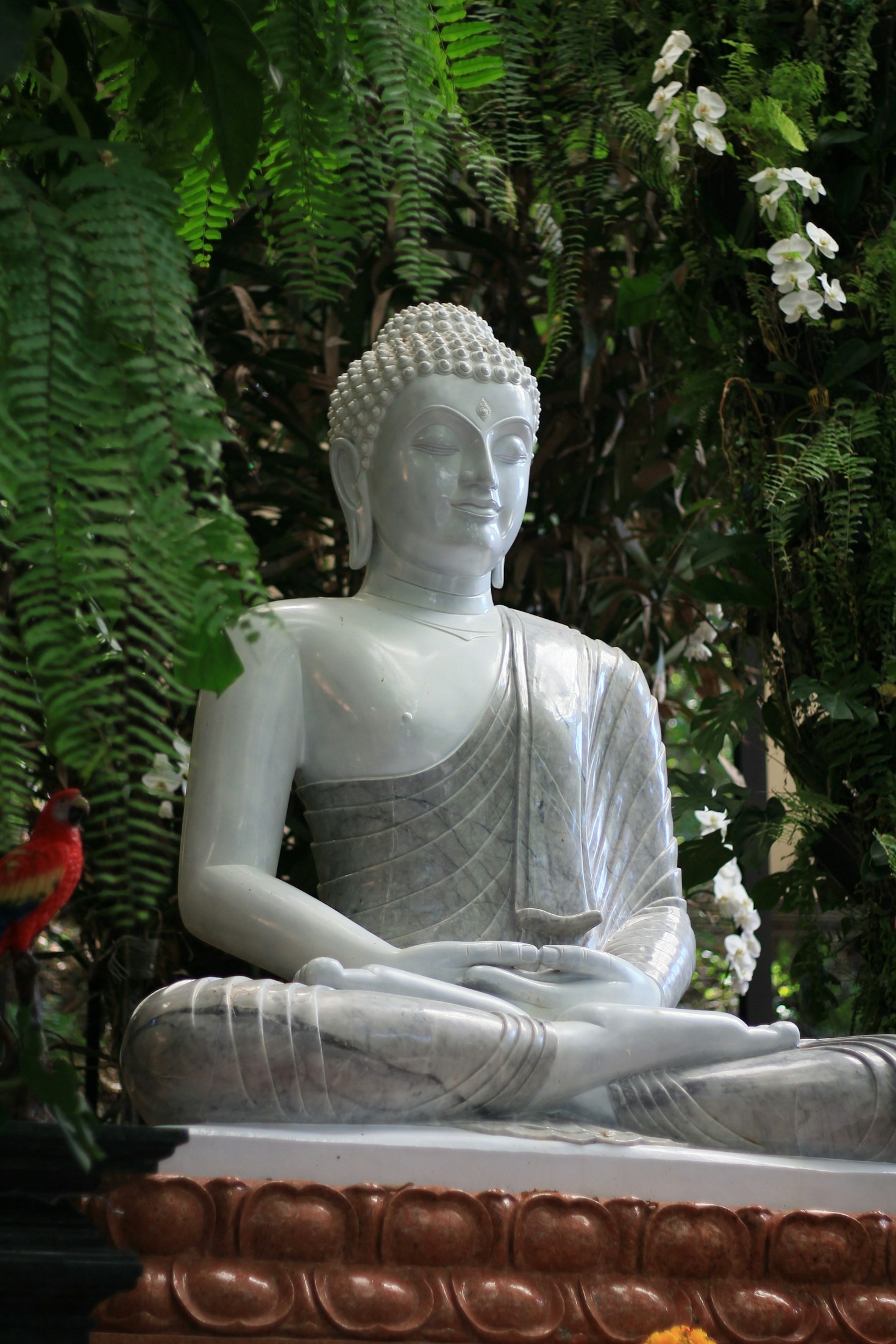 5 Ways Meditation Can Transform Your Life