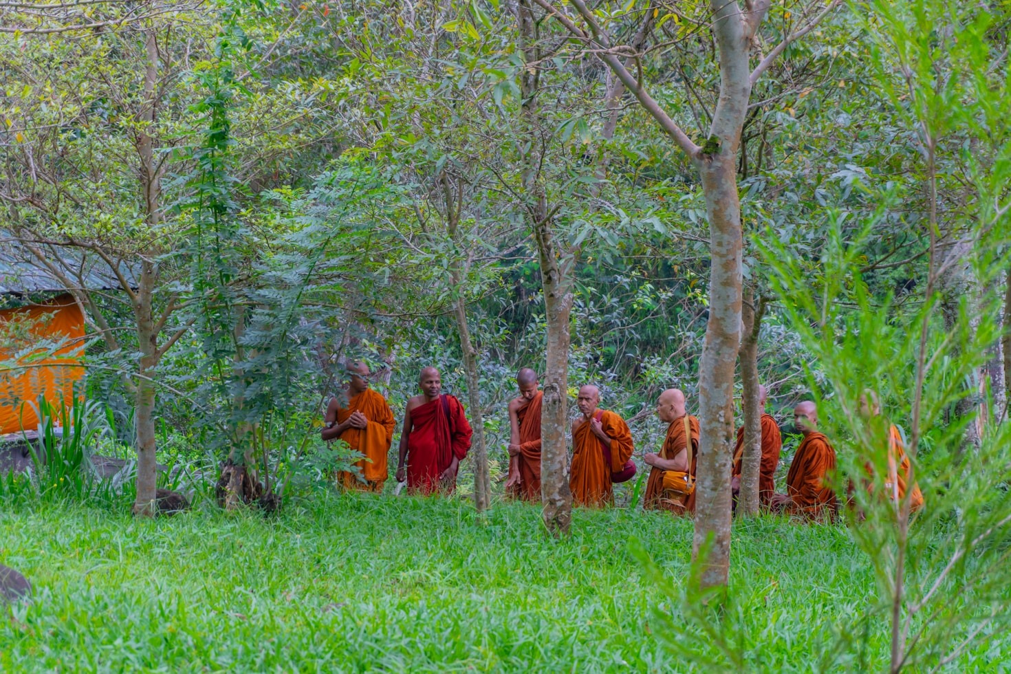Exploring Universal Teachings for Soul Fulfillment
