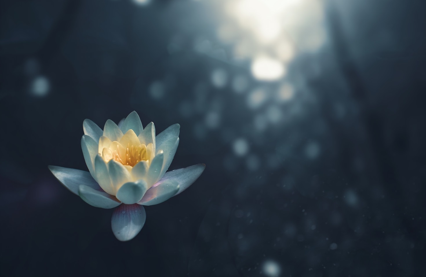 The Benefits of a Regular Meditative Practice