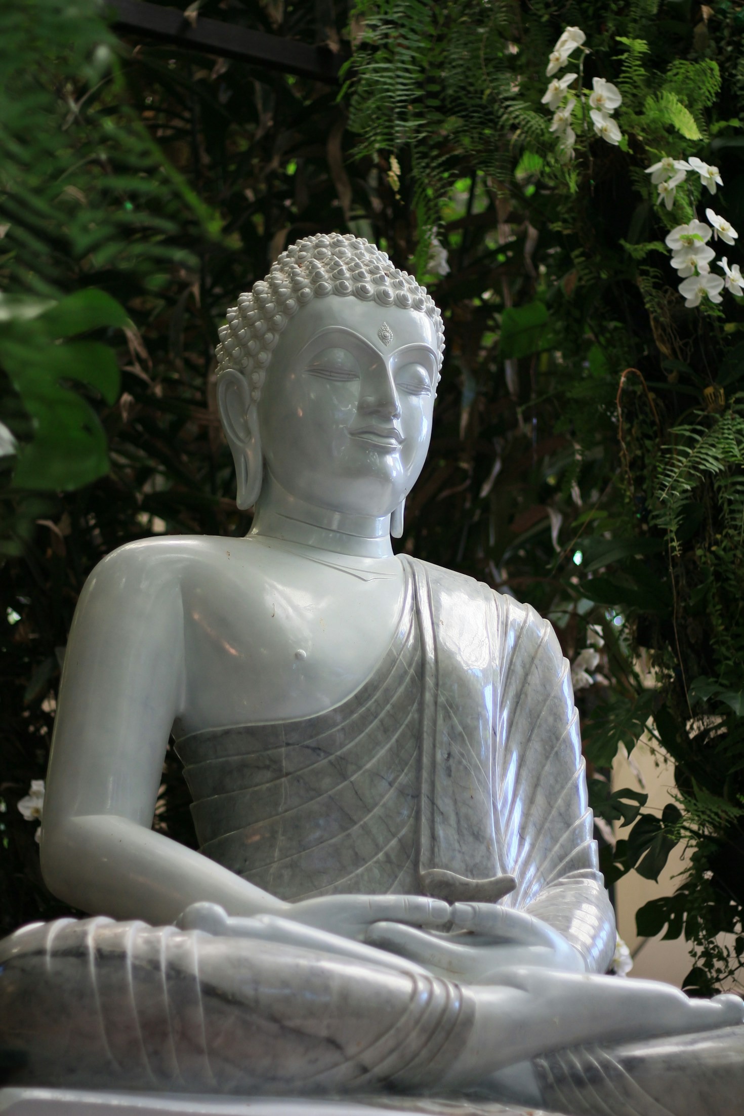 Finding Balance in a Chaotic World Through Meditation